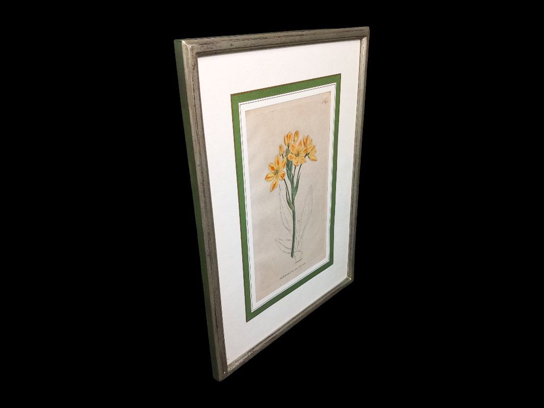 Posters & Illustrations: Bild im Bilderrahmen orange Blume – D'occasion à Hünenberg par Restwert_Zug 2
