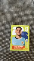 Panini WM 2026 uru10