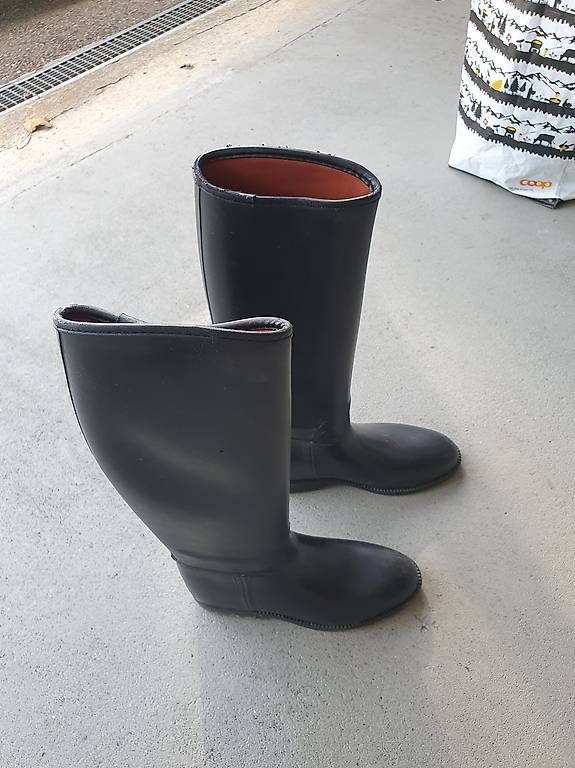 Chaussures femmes: Belles bottes équitation – D'occasion à Apples par denissafrany