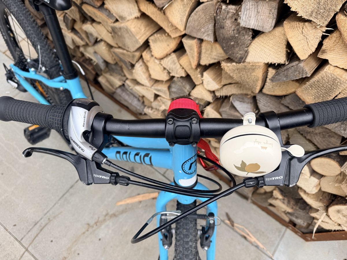 Naloo Velos: Naloo 20zoll Top Zustand! – Gebraucht aus Niederwil AG von ender_406 1