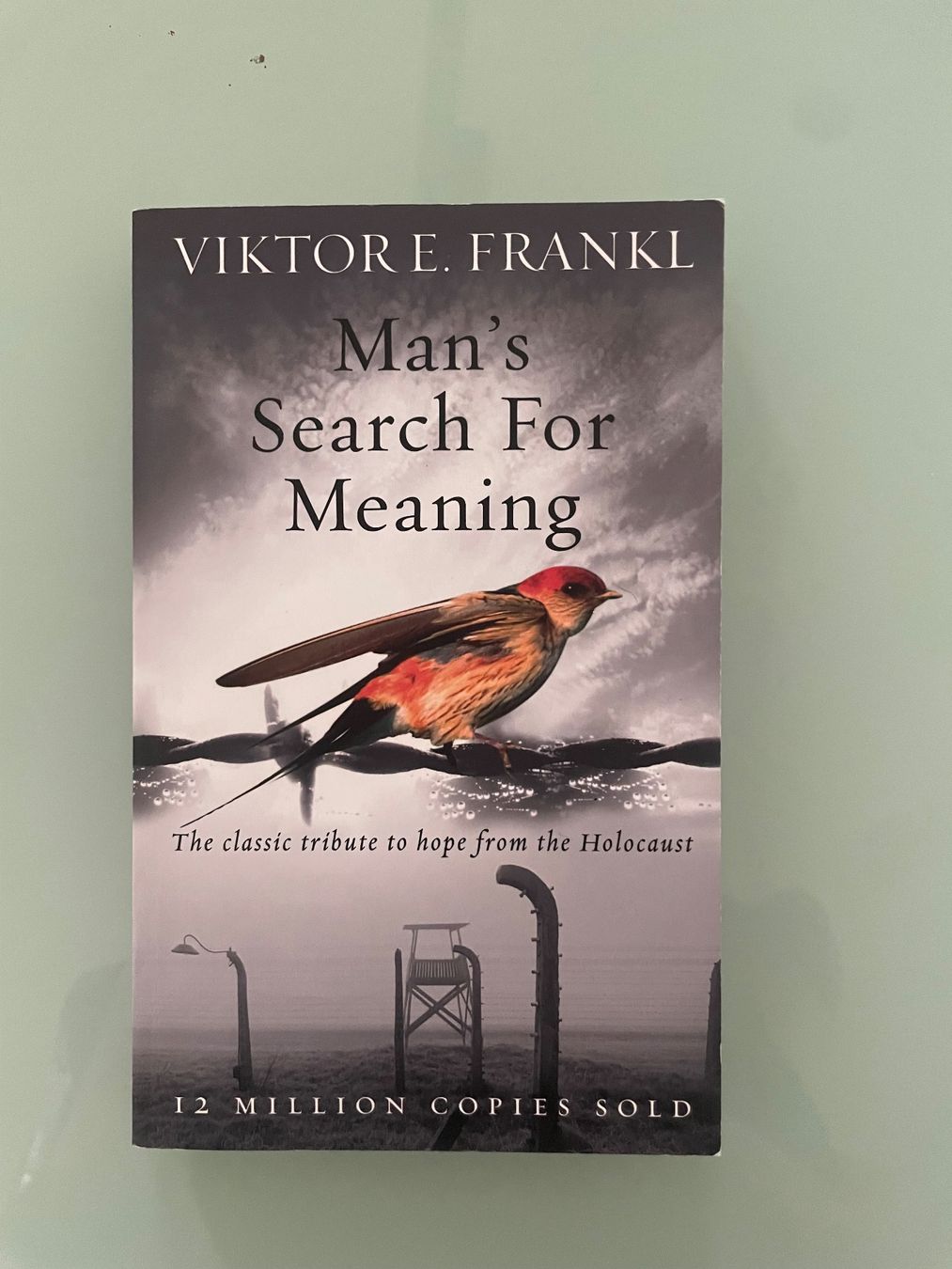 Libri: Viktor Frankl - Man's Search For Meaning – Usato da Oetwil am See venduto da Helvetnet