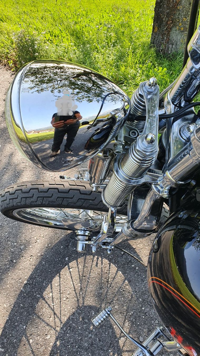 Harley-Davidson Chopper: Harley Davidson 93er Softail Springer "The Redback" – Usato da Aarwangen venduto da franky007 5