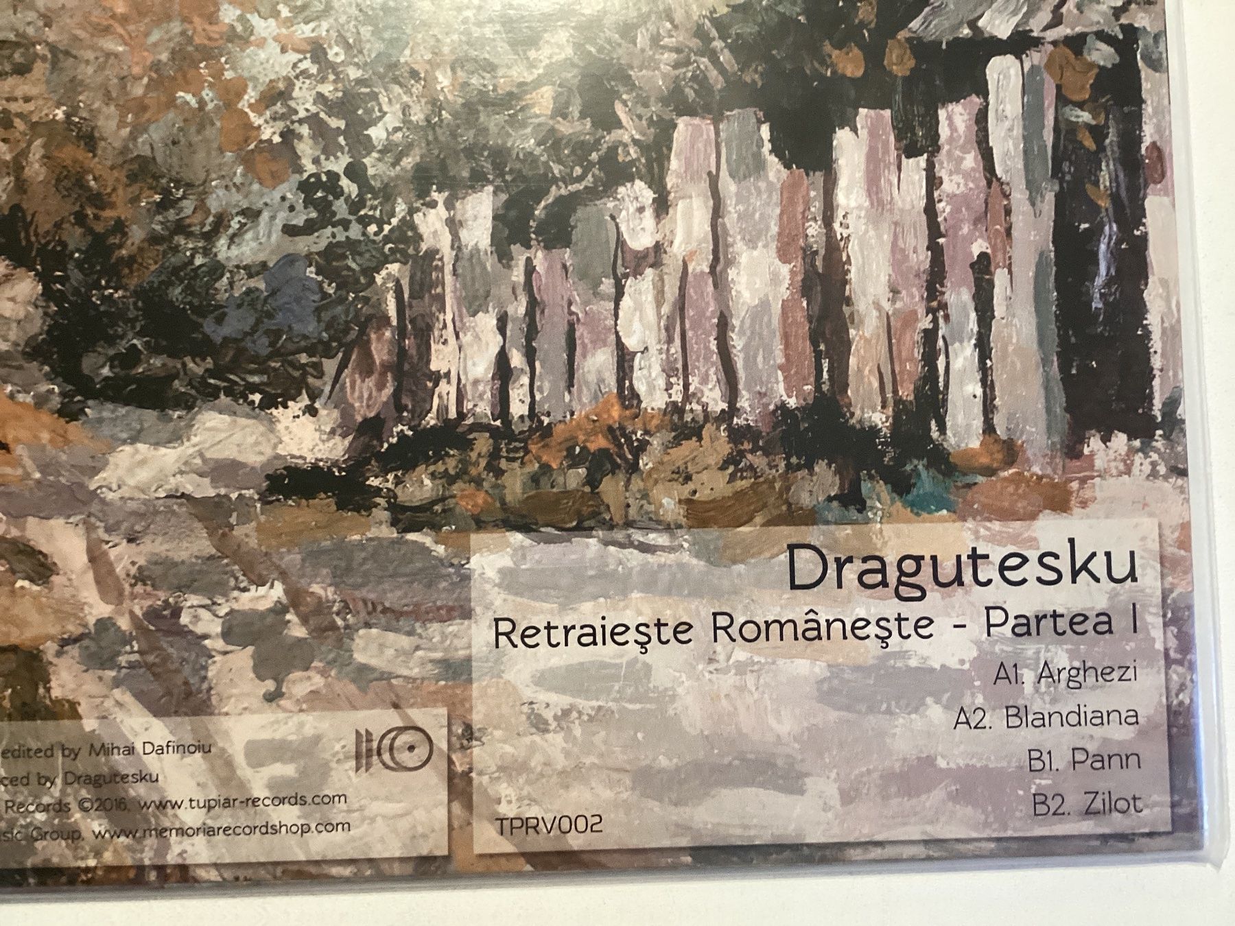 Dischi in vinile: Dragutesku Maxi-Single - Partei 1 – Usato da Gutenswil venduto da Hamzian 1