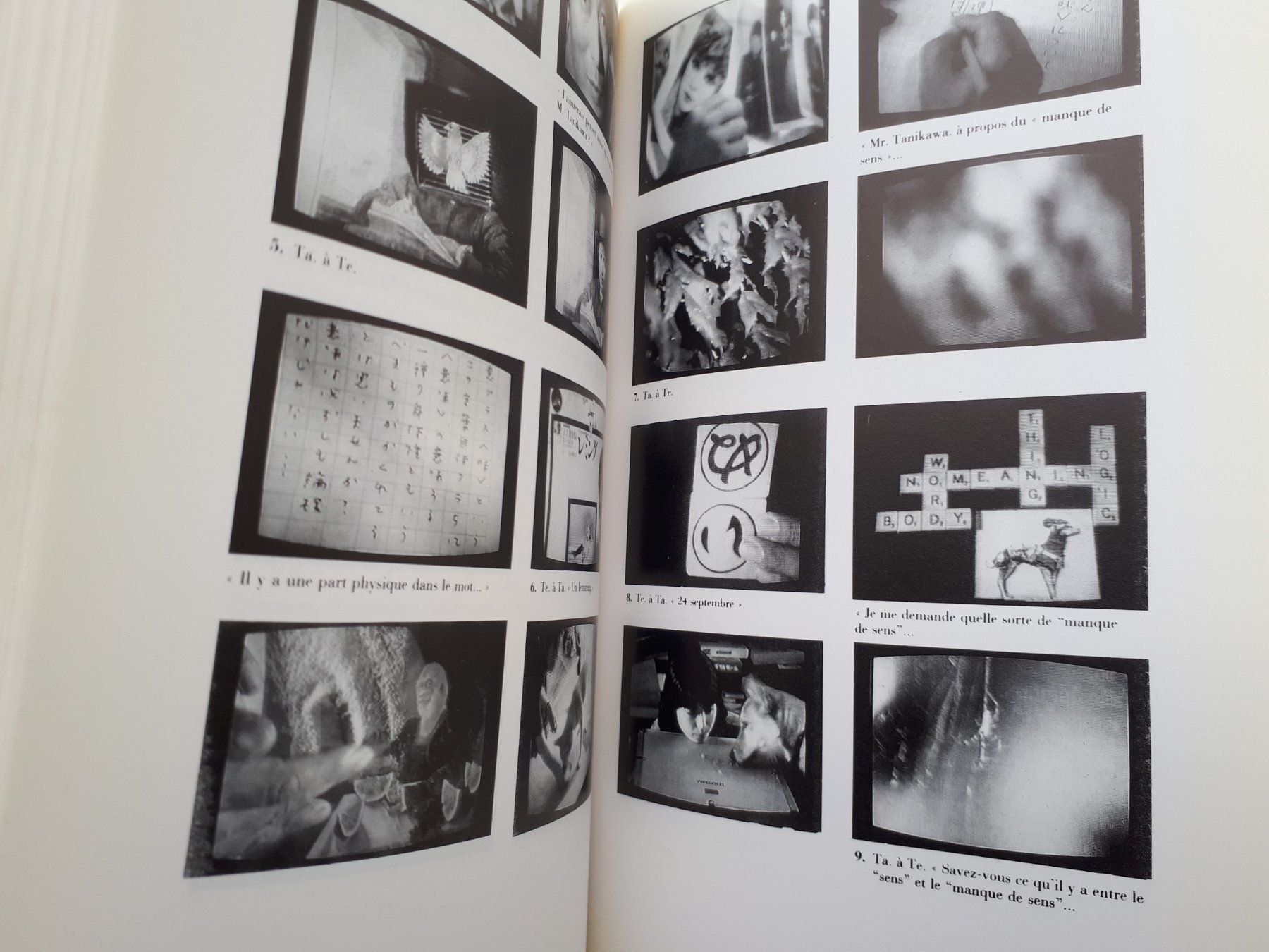 Bücher: Raymond Bellour - L' Entre-Images – Gebraucht aus Lausanne von LasloH 2