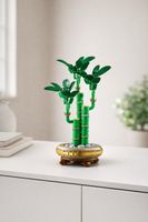 LEGO 10344 Botanicals Glücks-Bambus wie neu