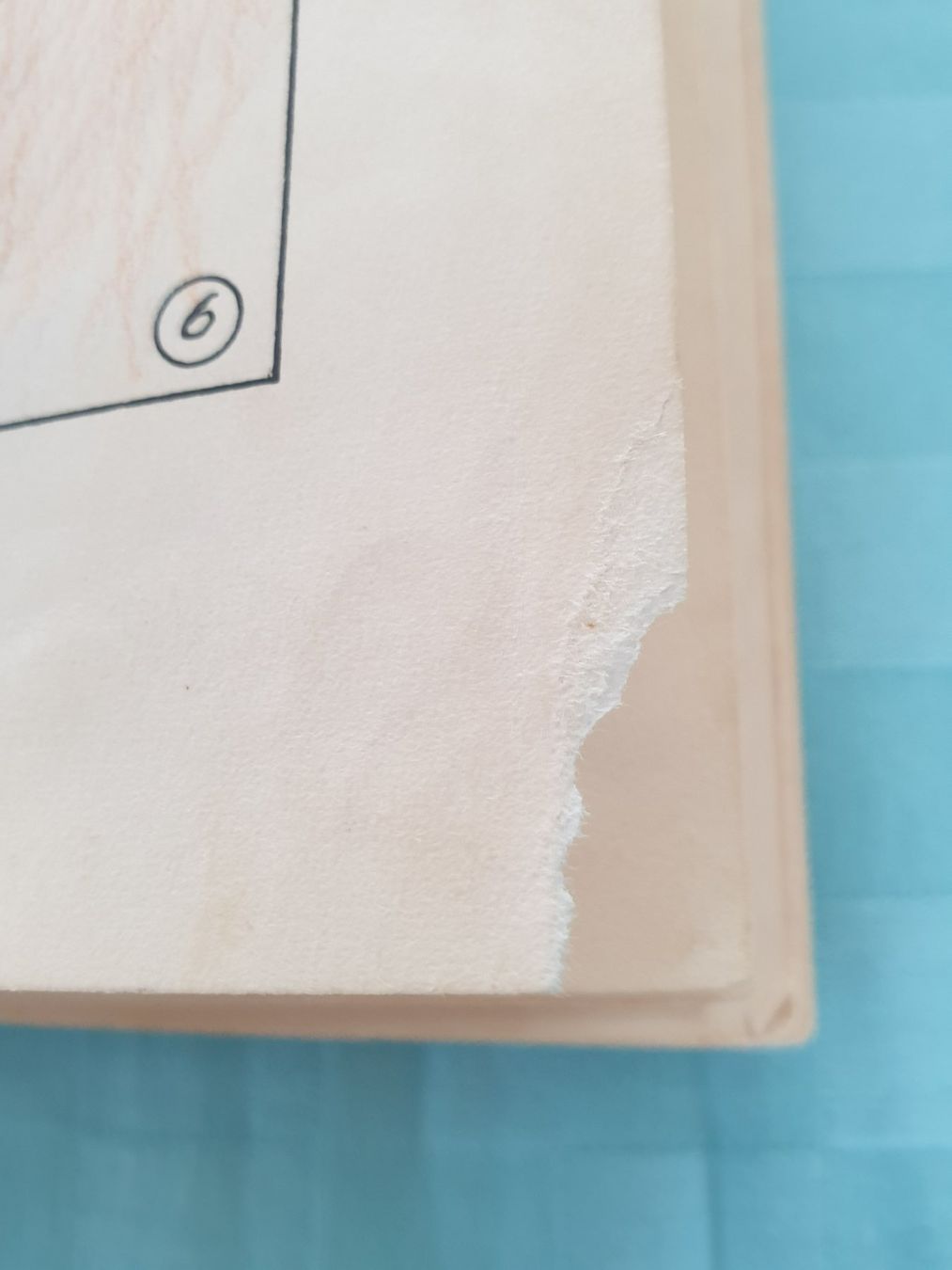 Bücher: Globibuch Globi der Kinderfreund – Gebraucht aus Mörschwil von spirspi 6