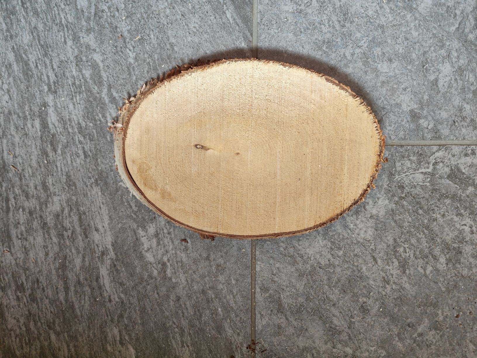 Kit bricolage: Holzscheiben zum Basteln  – Nuovo (secondo la descrizione) da Kandergrund venduto da Sam1818 3
