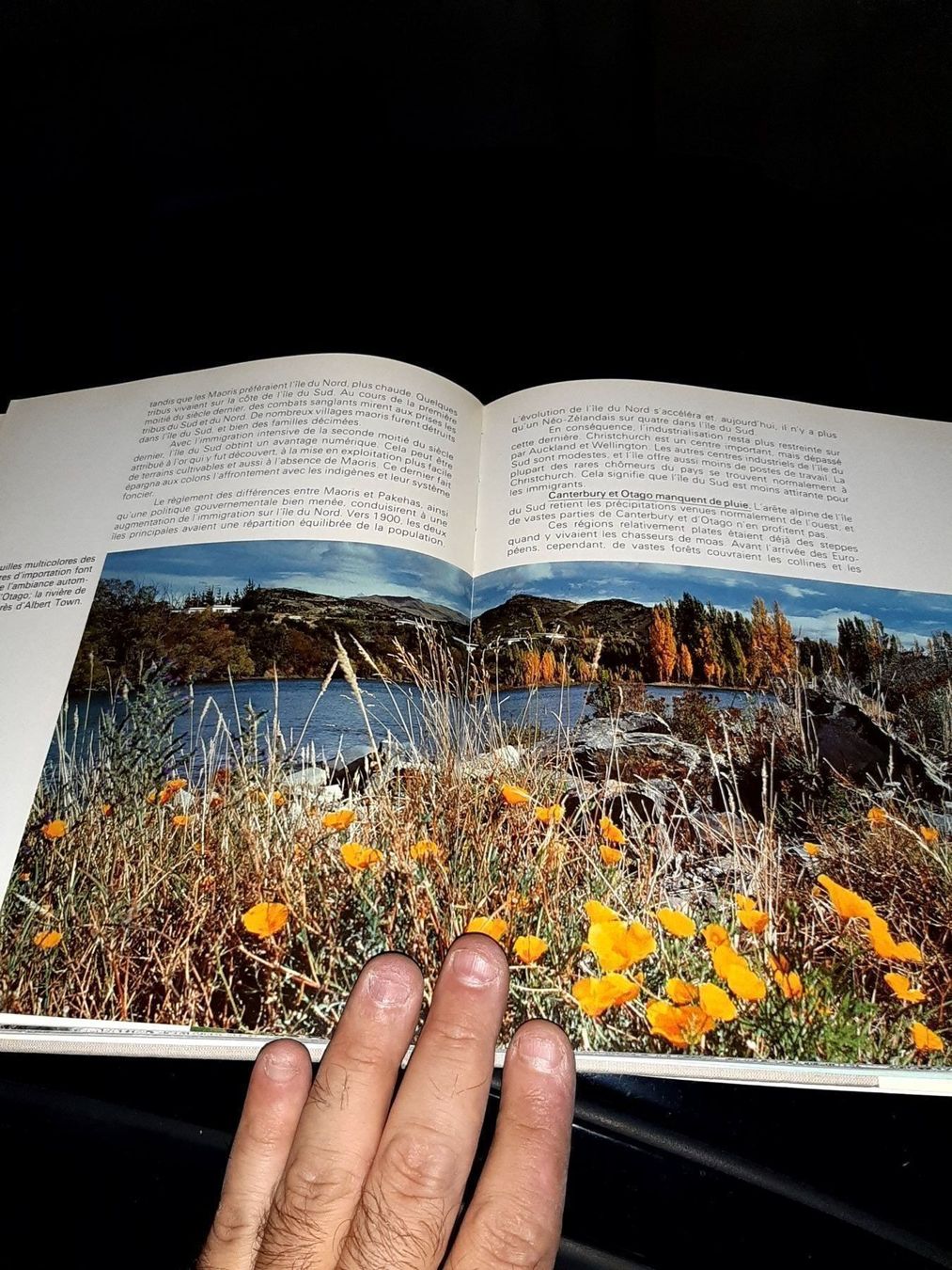 Libri: Nouvelle-zelande – Usato da Le locle venduto da juliensaran 3