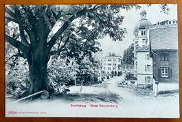 AK: Seelisberg - Hotel Sonnenberg