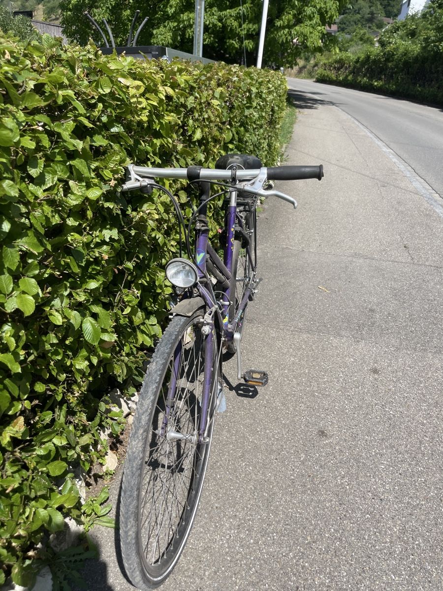 Biciclette: Damenveli Villiger – Usato da Hemmental venduto da _P2000_ 1