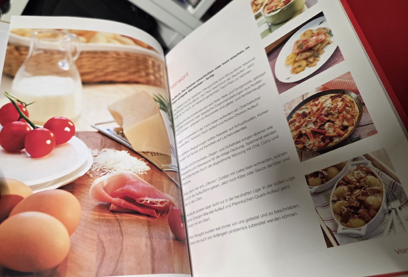 Libri: Dr. Oetker - Blitz Aufläufe (BUCH) – Usato da Reinach BL venduto da _MasterK_ 6