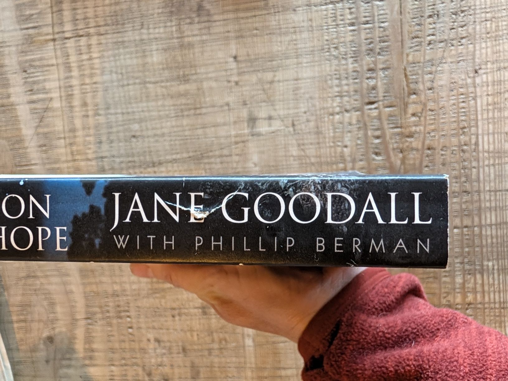 Libri: Jane Goodall Phillip Berman Reason for Hope  – Usato da Oberwil-Lieli venduto da stefim 2