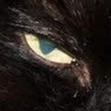 Profile image of Lovecats