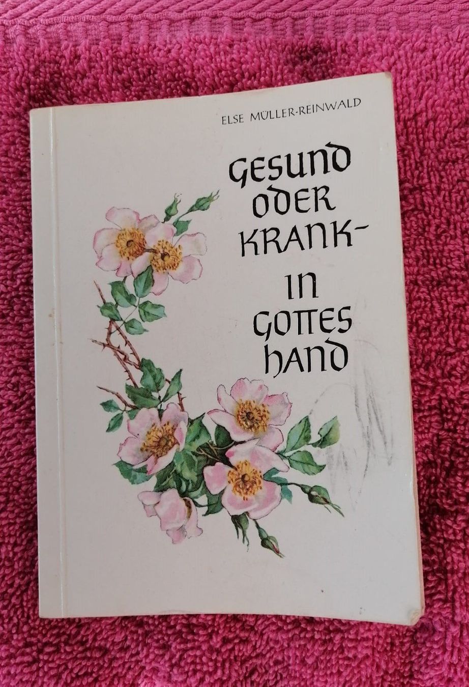 Libri: kleines altes Gebetsbuch – Usato da Grächen venduto da Hel7890
