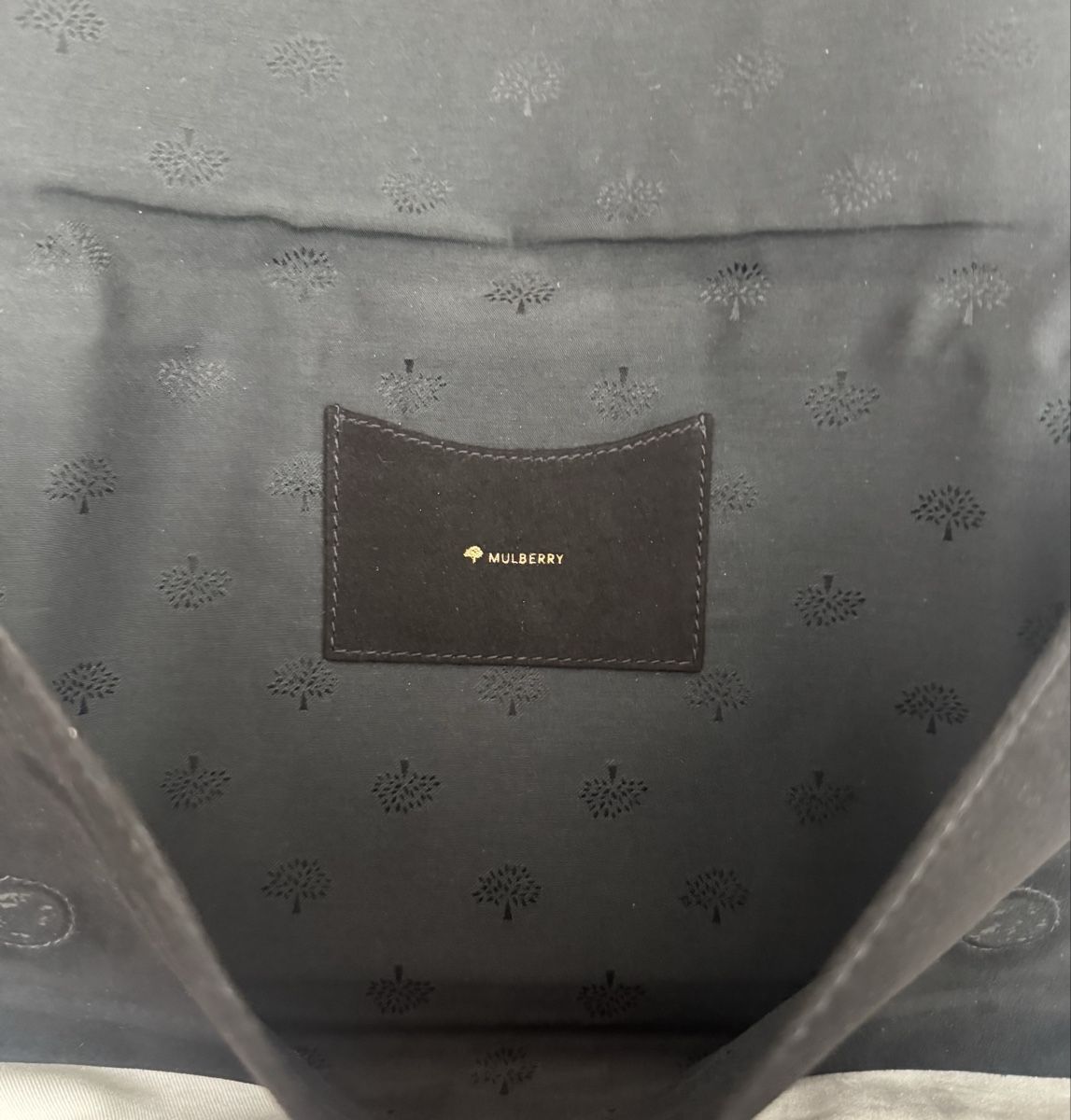 Mulberry Borse da donna: Mulberry Clutch – Nuovo (secondo la descrizione) da Benglen venduto da Dormiglione 3