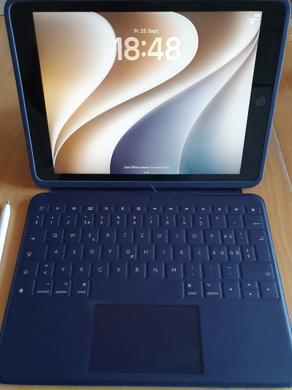 Apple Tablet PC: Apple IPad 9th Generation  – Usato da zürich venduto da Msteiner1 1