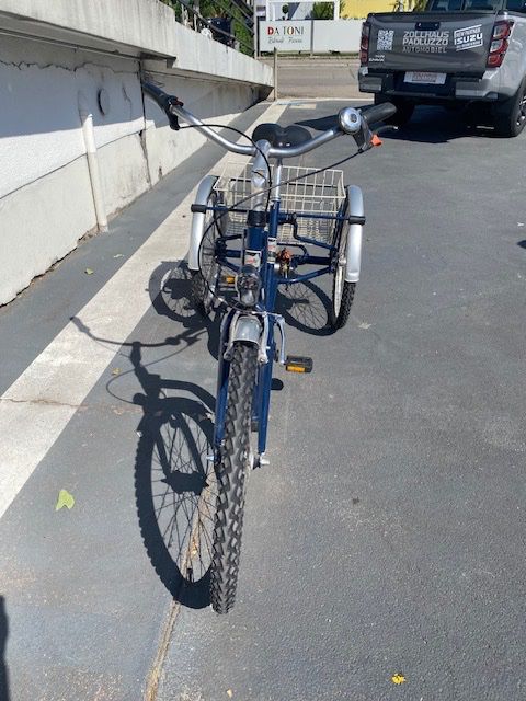 Biciclette: Dreirad Pfautec Classic Seniorenrad – Usato da Nidau venduto da mondschein70 1