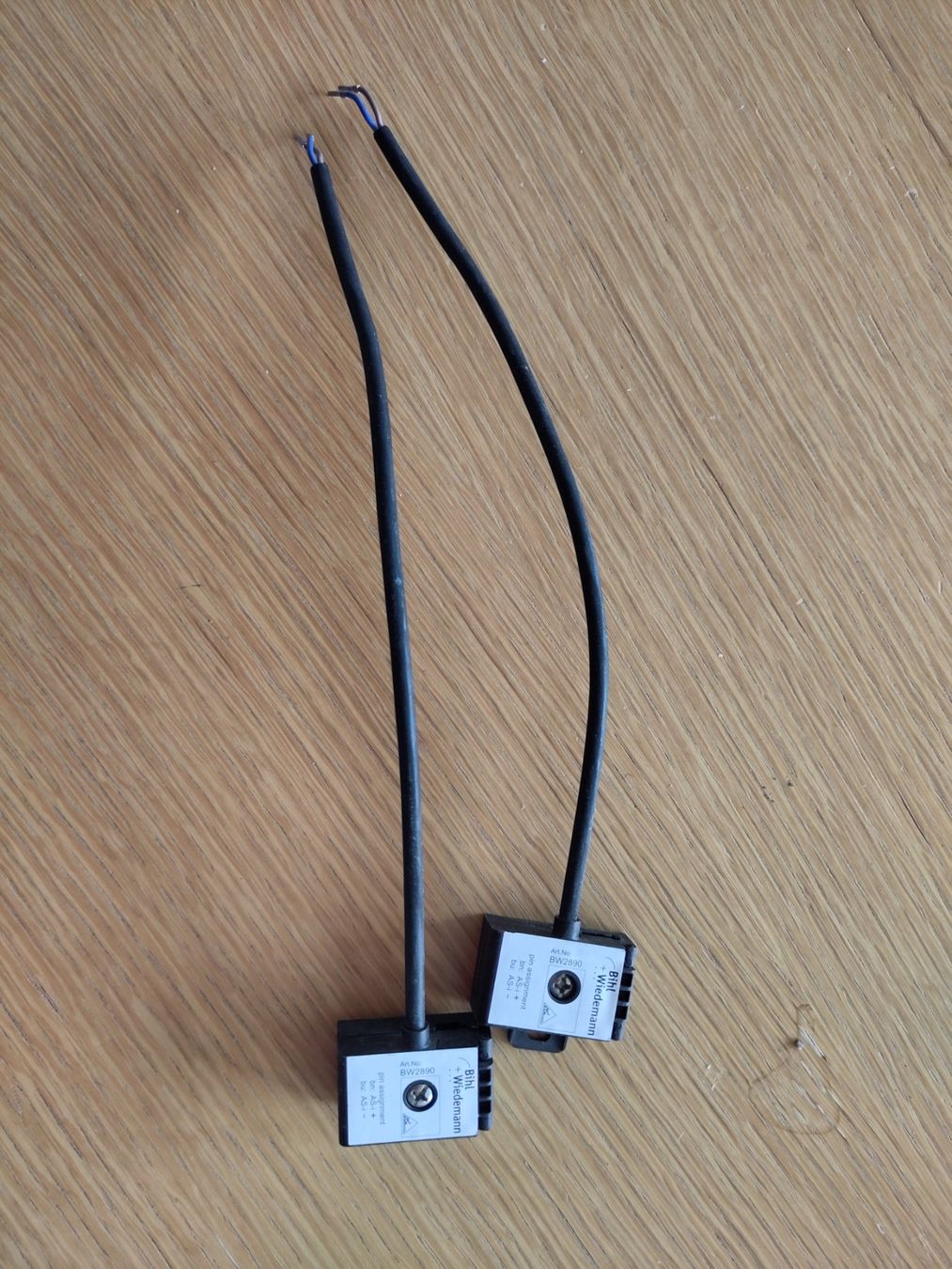 Componenti elettronici: Biel + Wiedemann BW2890 – Usato da Cham venduto da QS-Service 1