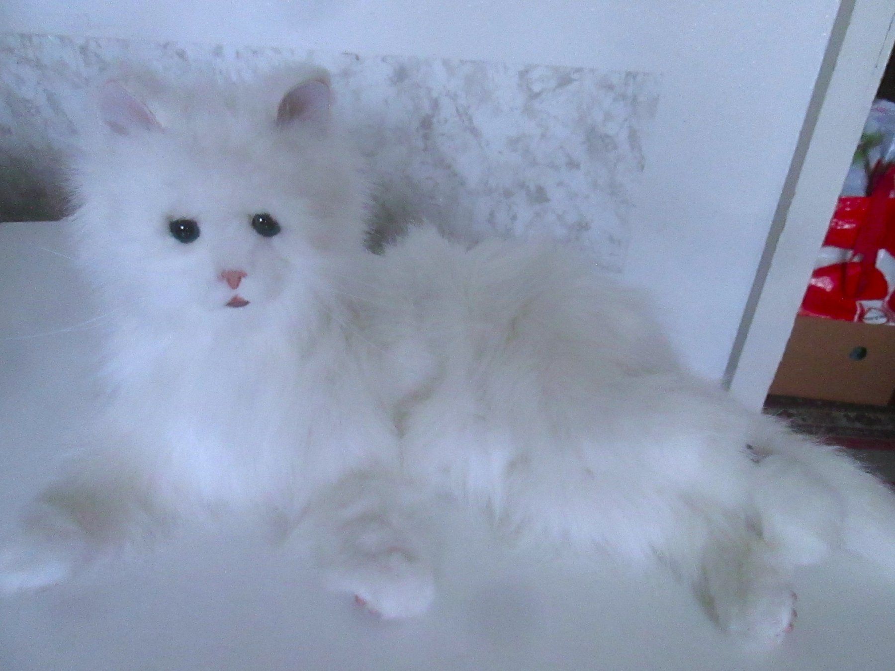 FurReal Spielzeuge: Für Real Plüschkatze – Gebraucht aus Sementina von babucia