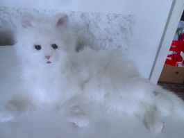 Für Real Plüschkatze