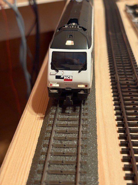Hag Modellini di ferrovie: HAG Re 460 H0 WS Digital mfx HCB – Usato da Regensdorf venduto da Basc 6