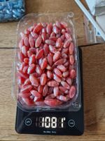 1 kg hochwertige Glasperlen – oval, rot-weiß 