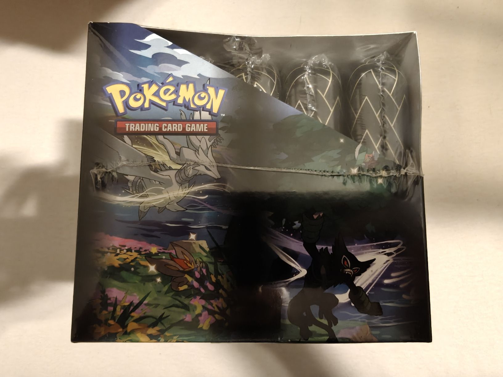 Pokémon Sammelbilder & Trading cards: Pokemon Shining Fates Mini Tin Display ab CHF 1.- – Neu und originalverpackt aus Schaffhausen von Dionyson 4