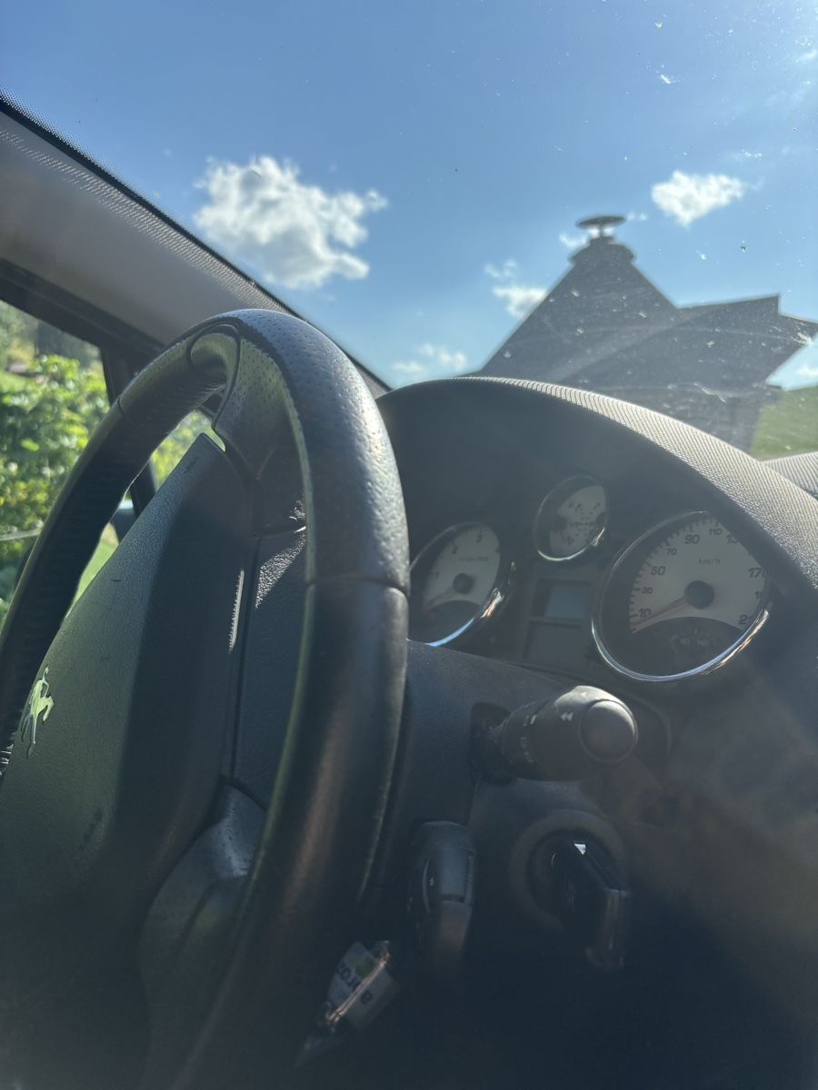 Peugeot Autos: Peugeot 207 – Défectueux à Homberg b. Thun par jaelodrtscheil 3