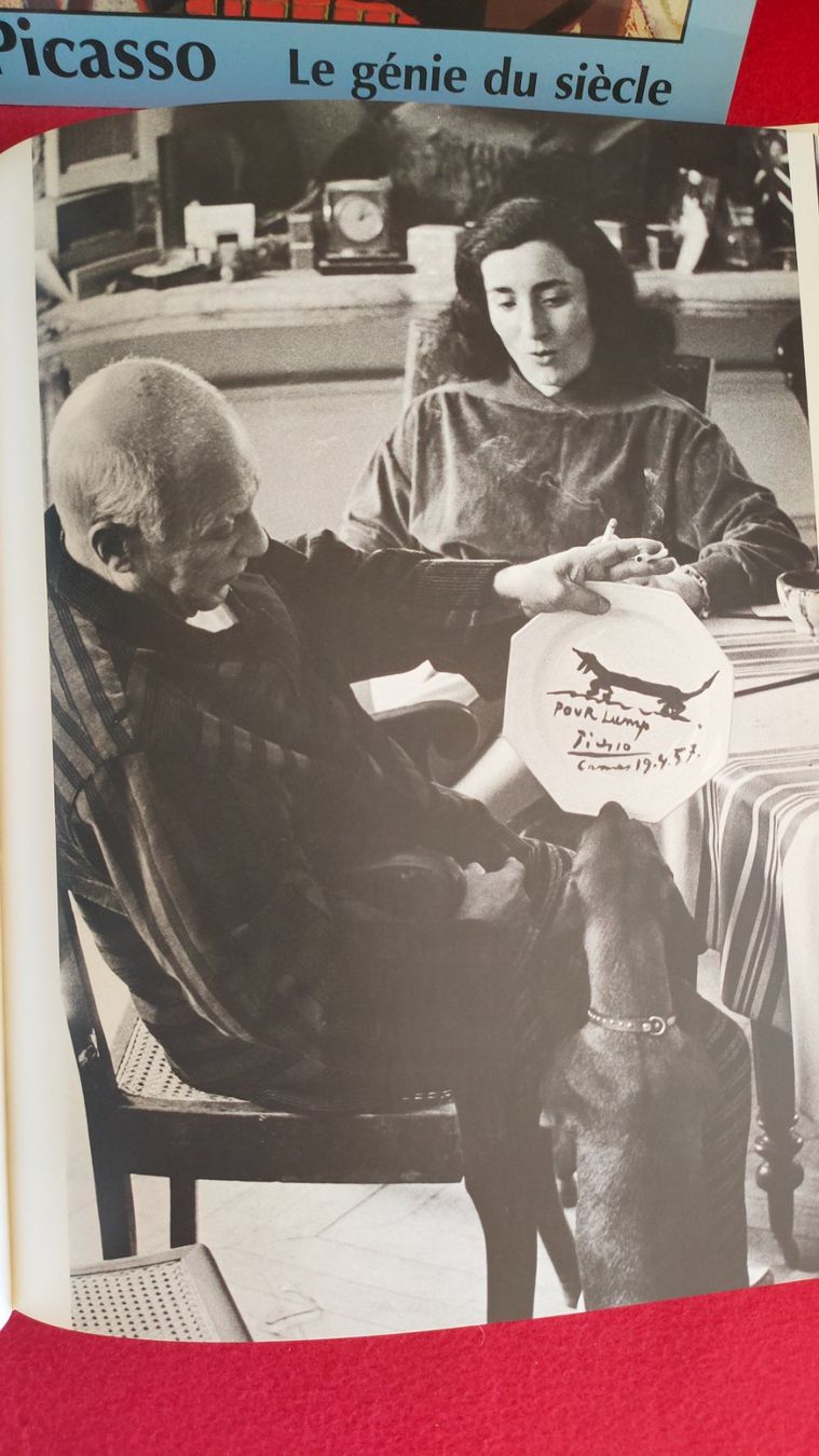 Bücher: Picasso – Gebraucht aus Crans-Montana von Camphill 4