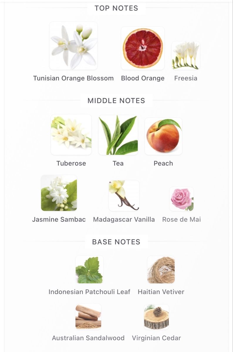 Profumi & Eau de Toilette: EDP Anamcara by Dusita 15ml – Nuovo e nell'imballaggio originale da Genève venduto da StaceyH 2
