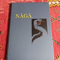 Andreas Schärer Geschichte von der Wallfahrt Naga