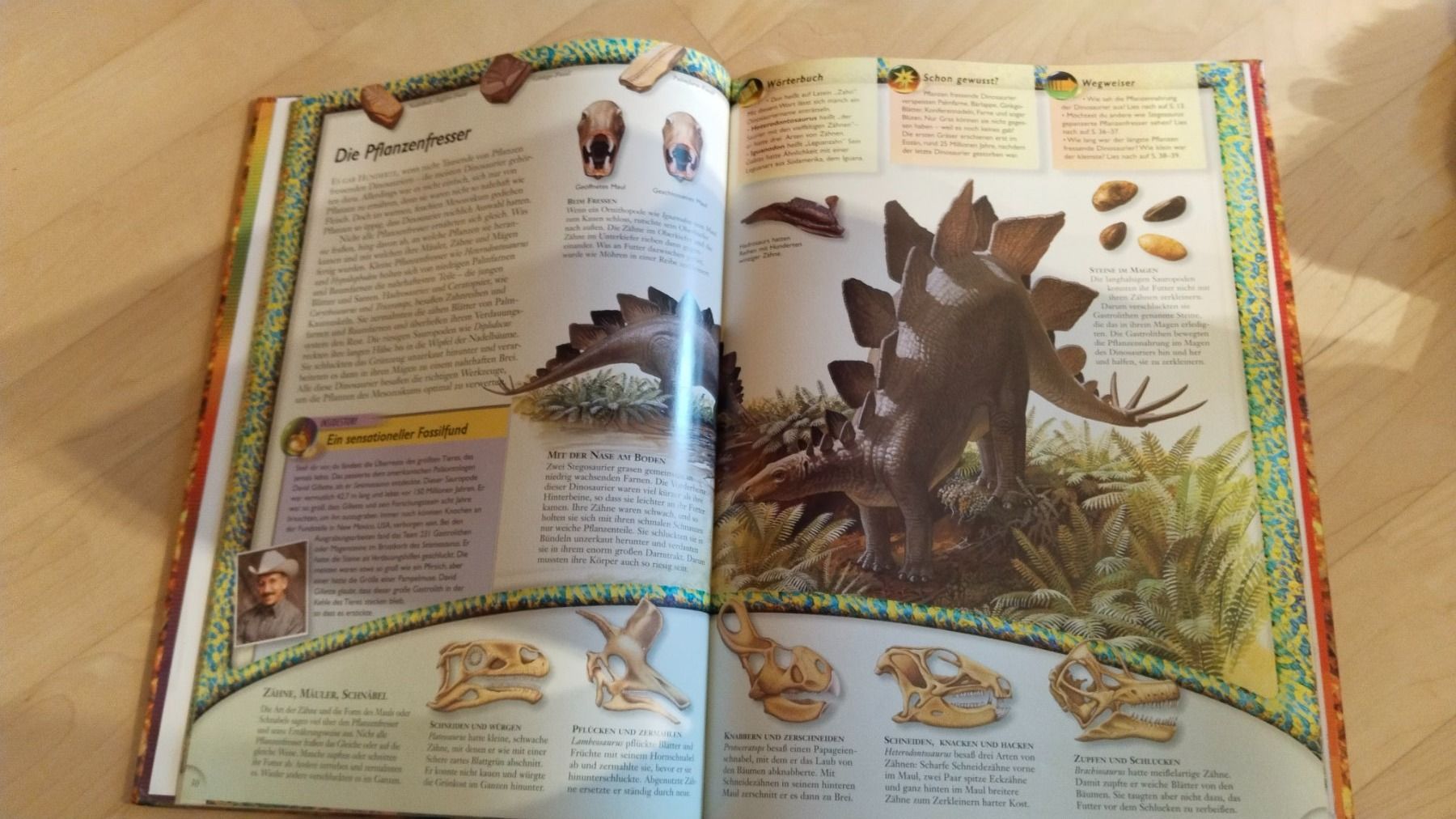 Libri: Dinosaurier Kinderbuch - Welt des Wissens – Usato da Brülisau venduto da san_d8f2 2