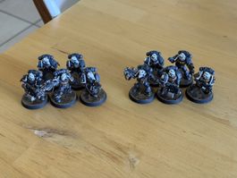 Warhammer 40k - Space Marines Old Sternguard Vets