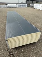 Fassadenpaneelen 40 mm RAL 7016, 4.00 m / Preis 43.-- pro m2