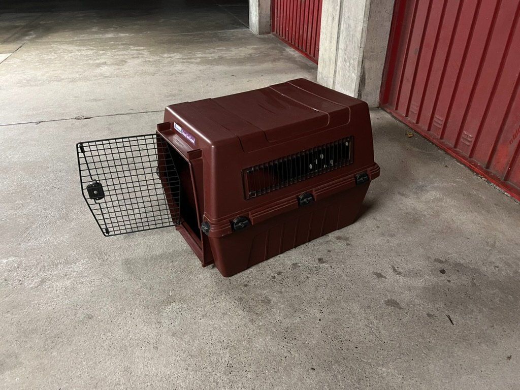 Gabbie, trasporto & Sicurezza: Petmate Deluxe Vari Kennel Tierbox Hundebox – Usato da Aarau venduto da Ozricmind 1