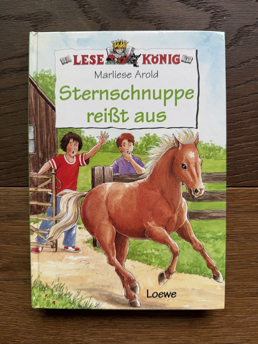 Bücher: Lesebuch Kinder – Gebraucht aus Pfäffikon ZH von aveo14