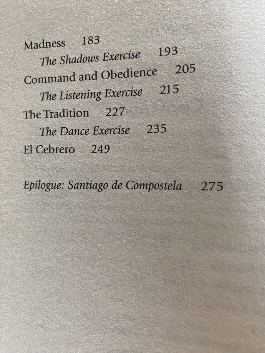 Libri: The Pilgrimage - Paulo Coelho – Usato da Schwarzenburg venduto da Michellu 7
