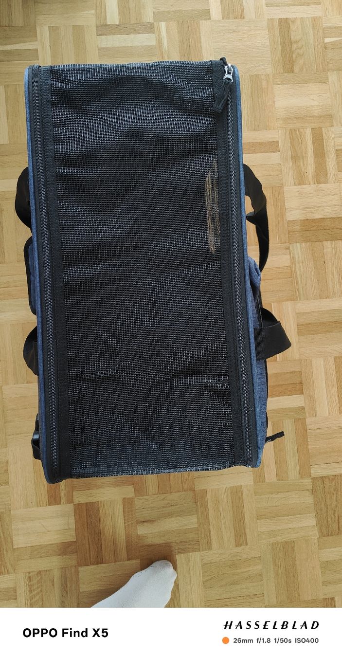 Zaini: Hubderucksack/Tasche – Nuovo (secondo la descrizione) da Bern venduto da jes_7mk2 2