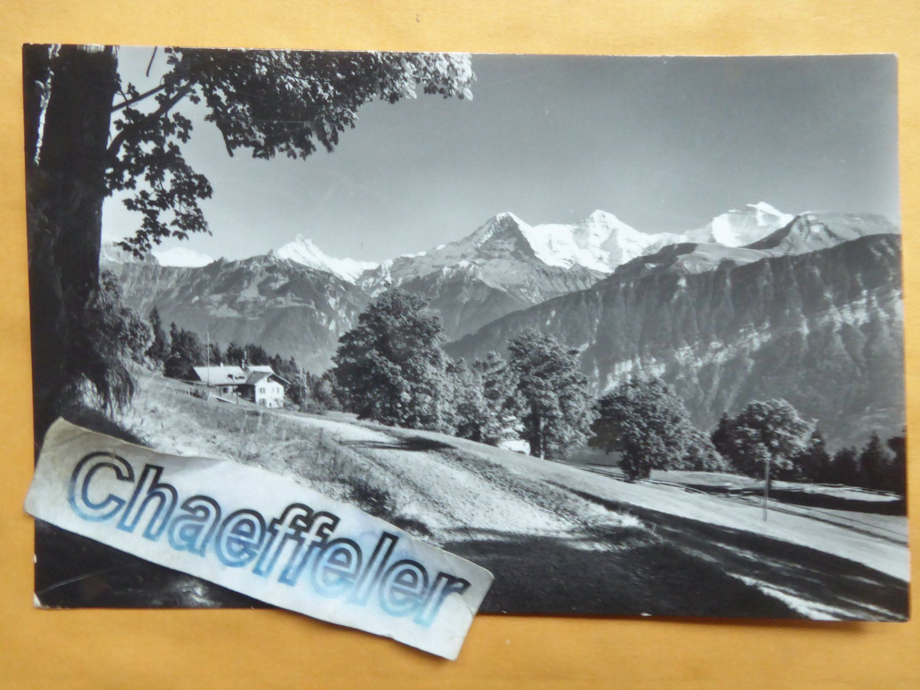 Ansichtskarten: 1965 Beatenberg – Gebraucht aus Zürich von Chaeffeler