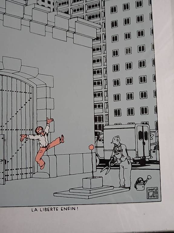 Foto & Immagini: Sérigraphie de Joost Warte " la liberté enfin" – Usato da Genève venduto da chr_8ncs 1