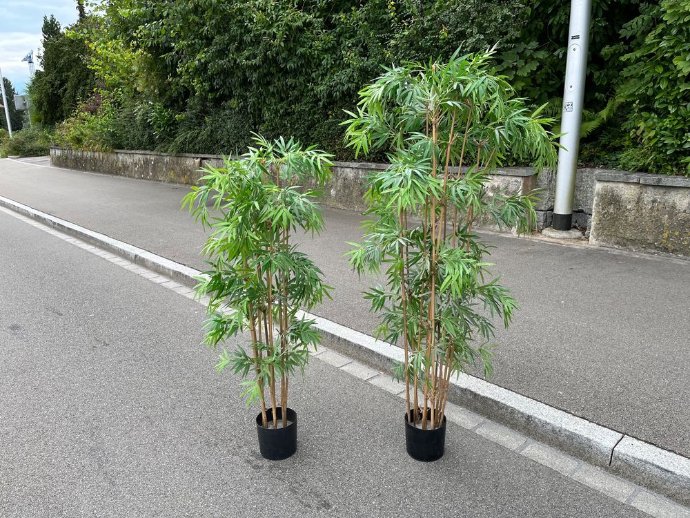 2er Set künstliche Bambuspflanzen Kaufen auf Ricardo