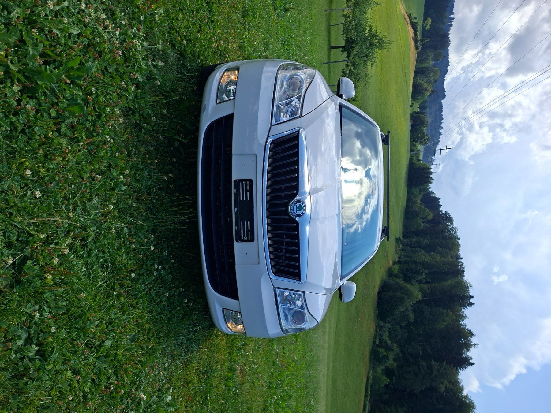 Skoda Automobili: Skoda Octavia 1.6l TDI 4x4 – Usato da Galgenen venduto da pat_jp9s 1