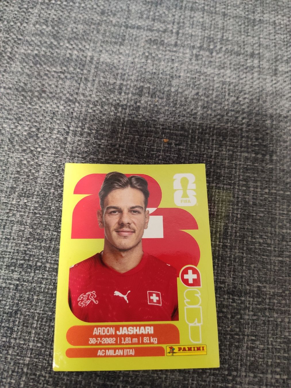 Panini Cartes à collectionner: SUI 14 – D'occasion à Ettenhausen TG par danielhoop