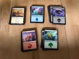 Magic The Gathering: 200 Basic Lands