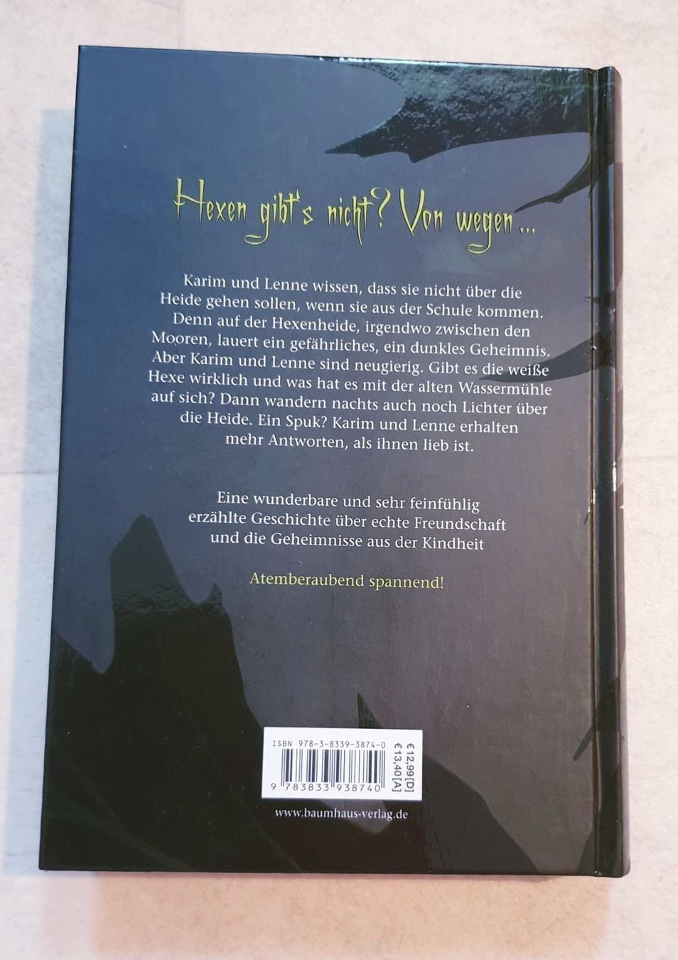 Libri: Hexenheide von Mariëtte Aerts – Nuovo (secondo la descrizione) da Füllinsdorf venduto da Sunnebliemli7 1