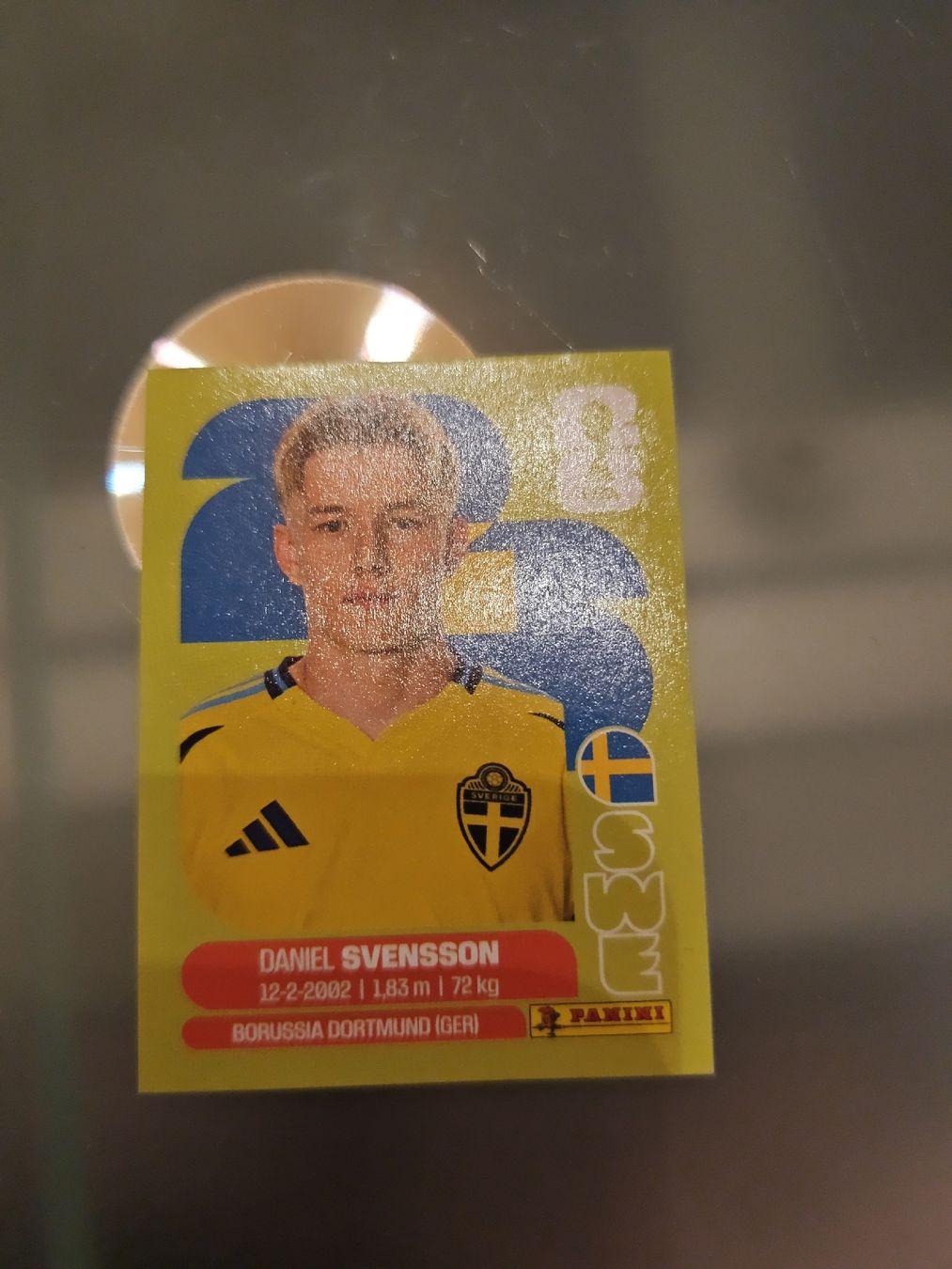 Panini Carte collezionabili: PANINI SWE 14 – Nuovo (secondo la descrizione) da Sulgen venduto da 34j_p6s2 1
