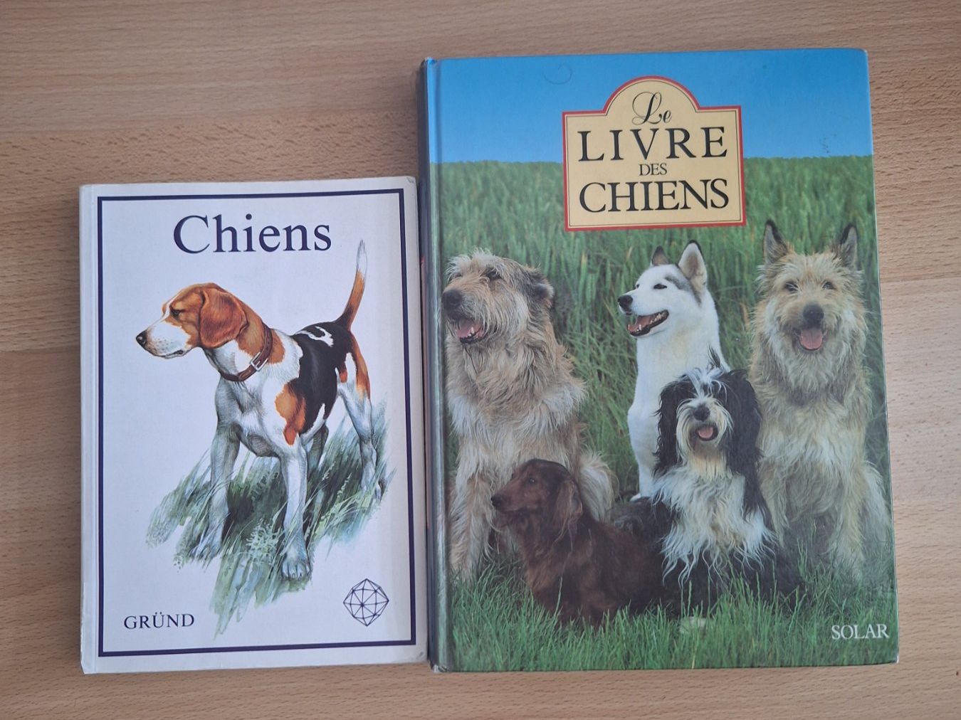 Bücher: Livres sur les chiens – Gebraucht aus Longirod von are_7dzg