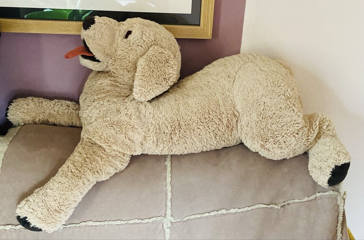 Ikea Giocattoli: Grande peluche chien tout doux – Nuovo (secondo la descrizione) da Ardon venduto da hel_2sxp 9