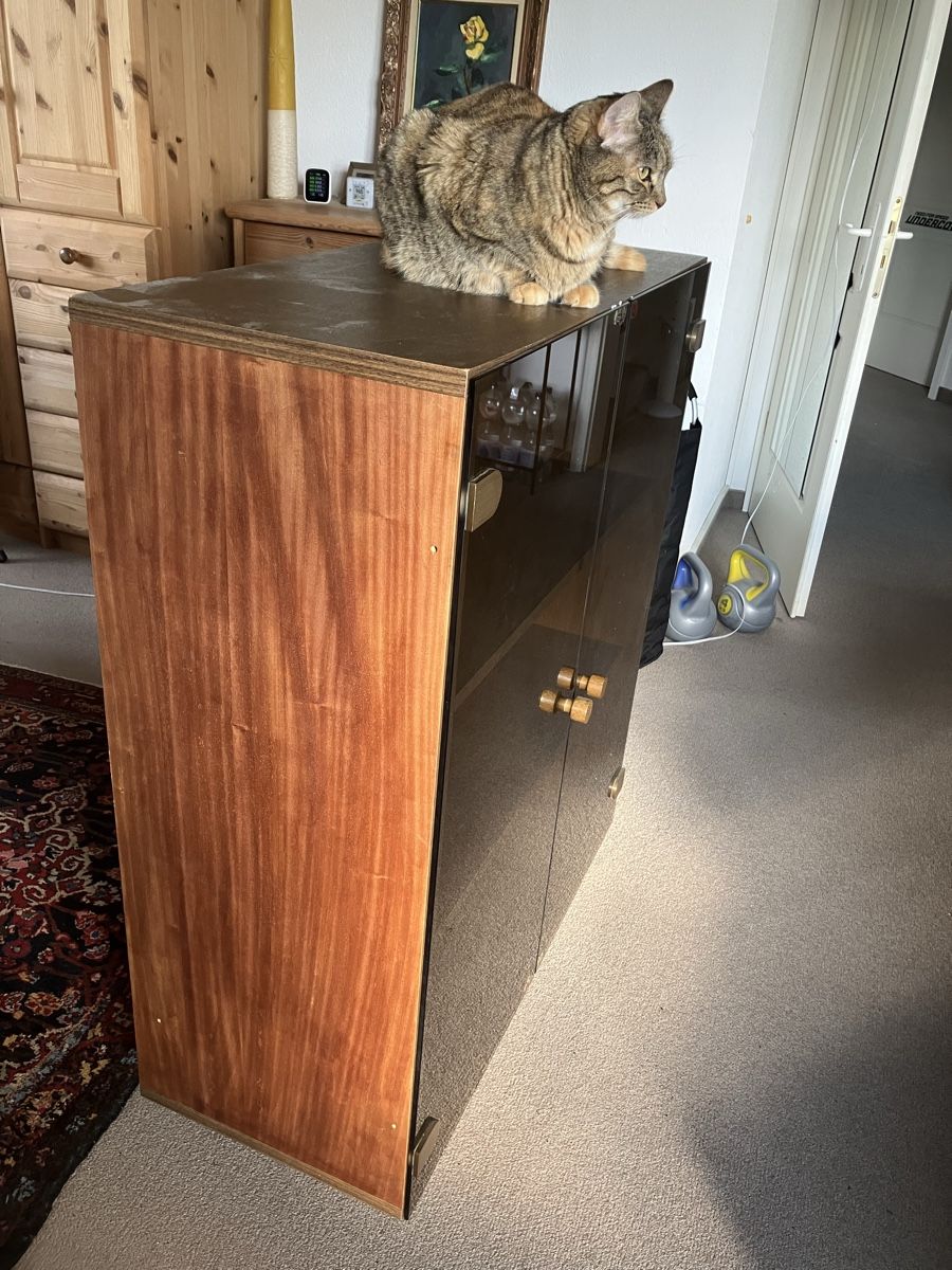 Vitrinen: Vitrine, braun – Gebraucht aus Horn von nat_97wq 2