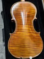 Violin one-piece back